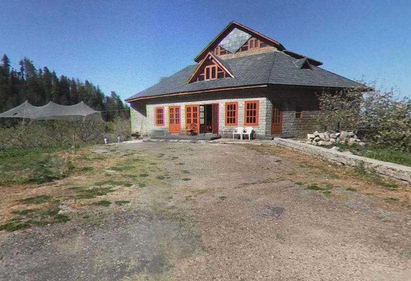 White Mushroom Hotel Rohanda 6