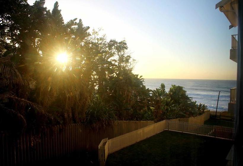 Hotel 309 Kenwynonsea 5