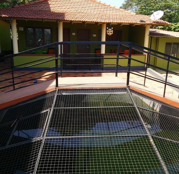 Bed and Breakfast The Green Treasurea Family Homestay In Coorg 8