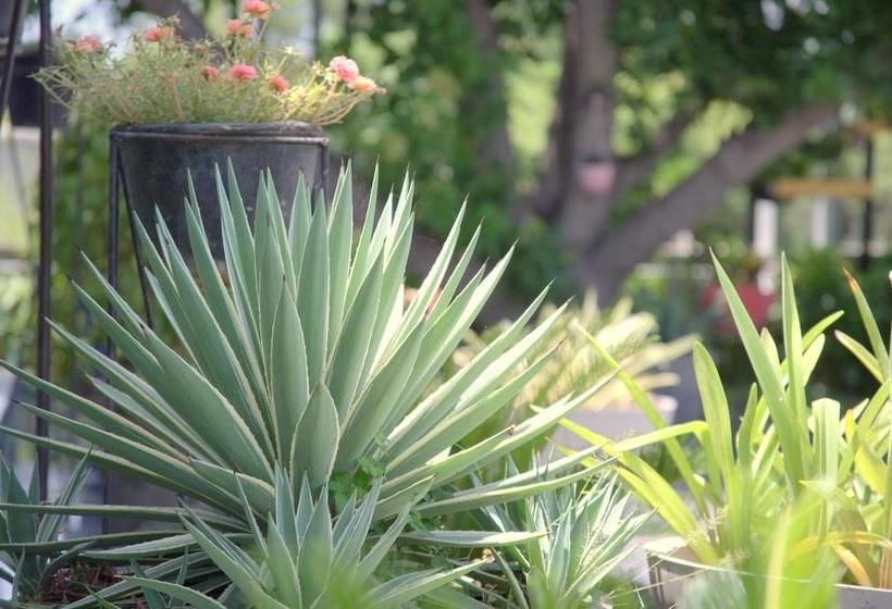 Hotel Villa Highnest Oragadam Sriperumbudur 18