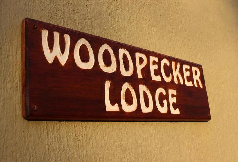 Bed and Breakfast Woodpecker Lodge 1