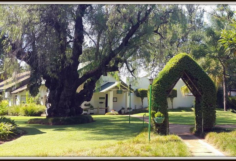 Bed and Breakfast President Paul Kruger Guest Lodge 7