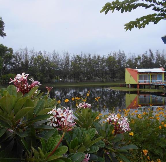 Resort Oceana Tourist Complex 6