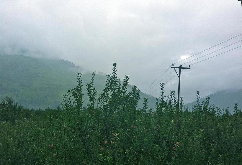 Bed and Breakfast White Mountain Cottages 2