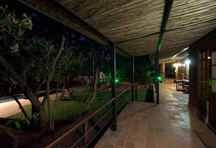 Tuskers Bush Lodge B&b 20