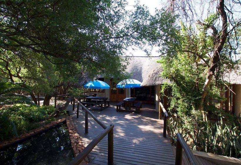 Tuskers Bush Lodge B&b 9