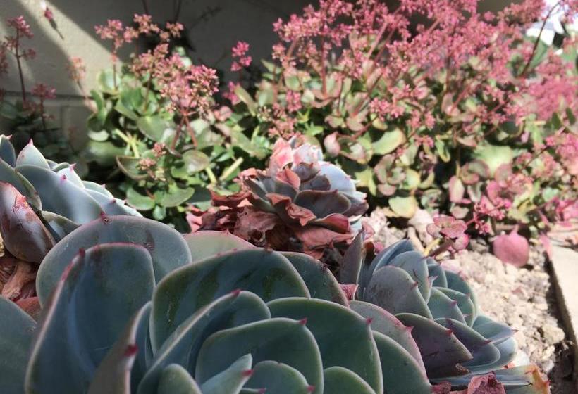 Bed and Breakfast Seymour View 12