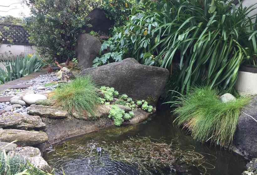 Bed and Breakfast Seymour View 13