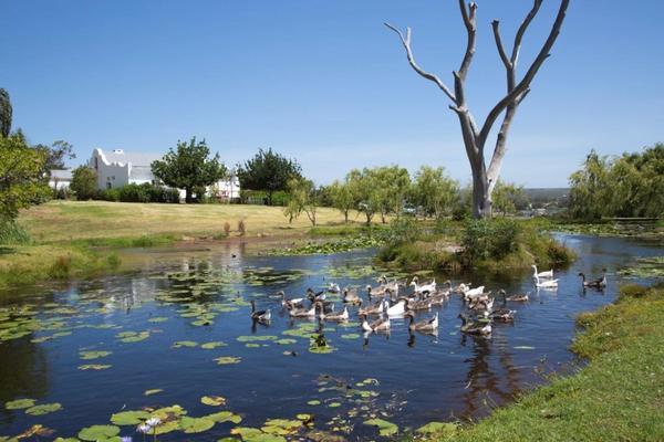 Hotel A Pinot Noir Cottage @ Sir Robert Stanford Estate Stanford