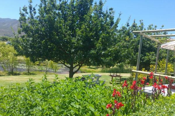 Hotel A Pinot Noir Cottage @ Sir Robert Stanford Estate 5