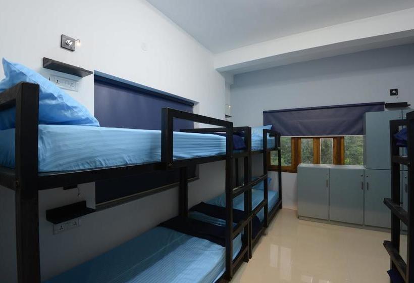 Hostel The Madpackers Jodhpur 4