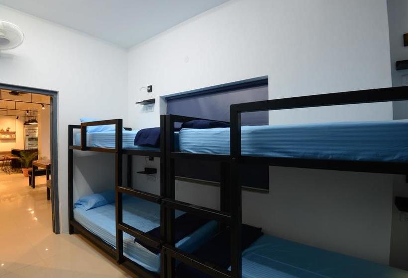 Hostel The Madpackers Jodhpur 5