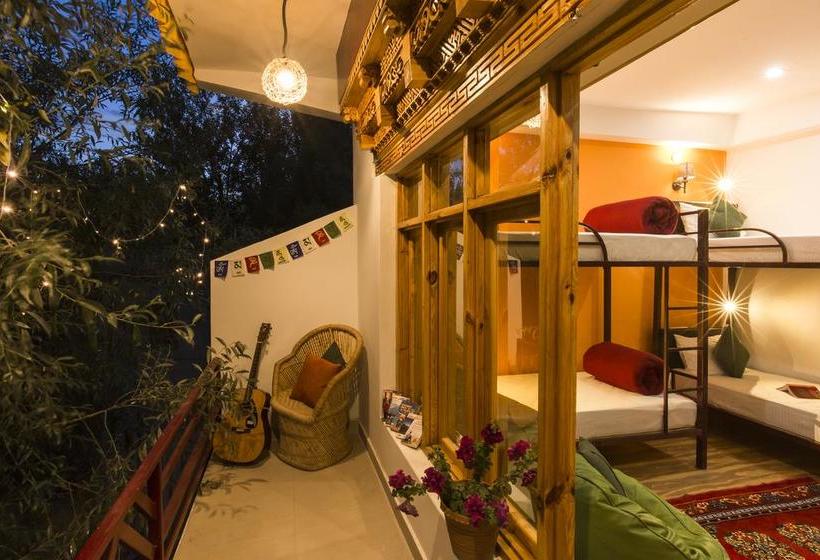 Hostel Zostel Leh 10