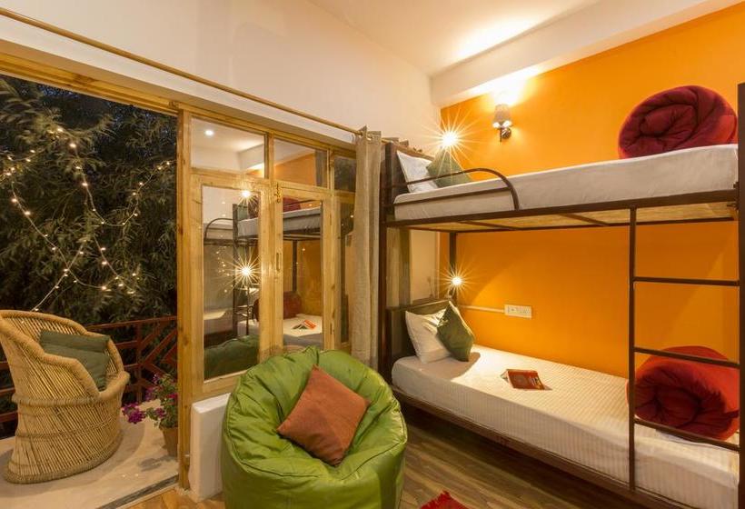 Hostel Zostel Leh 11