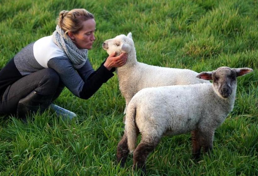 Brackish Beach B & B 11