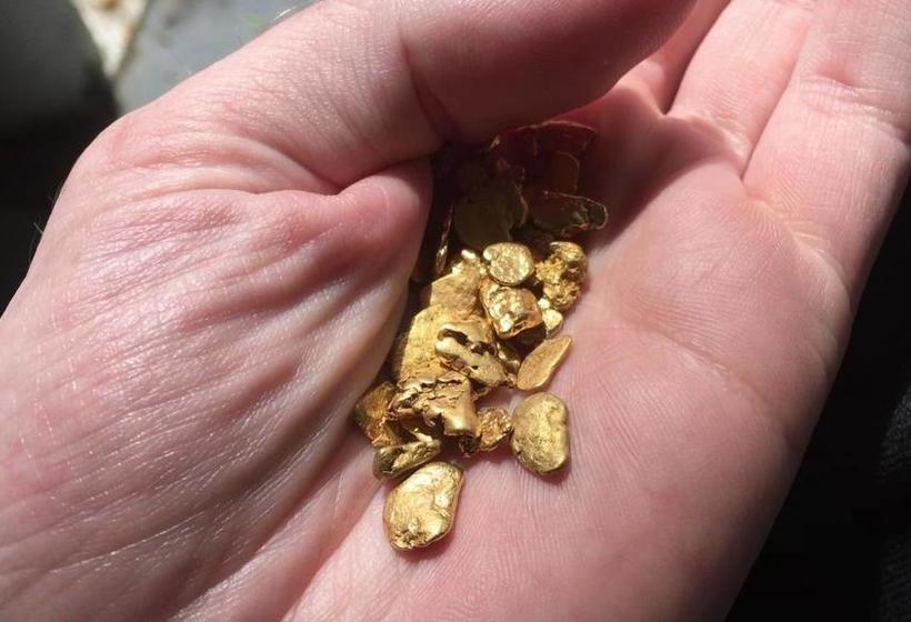 Brackish Beach B & B 14