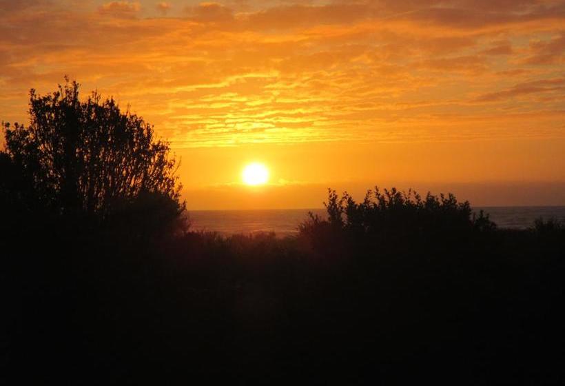 Brackish Beach B & B 17