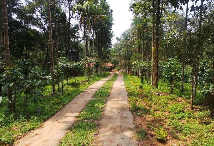 Hotel Orange Wood Resort 1