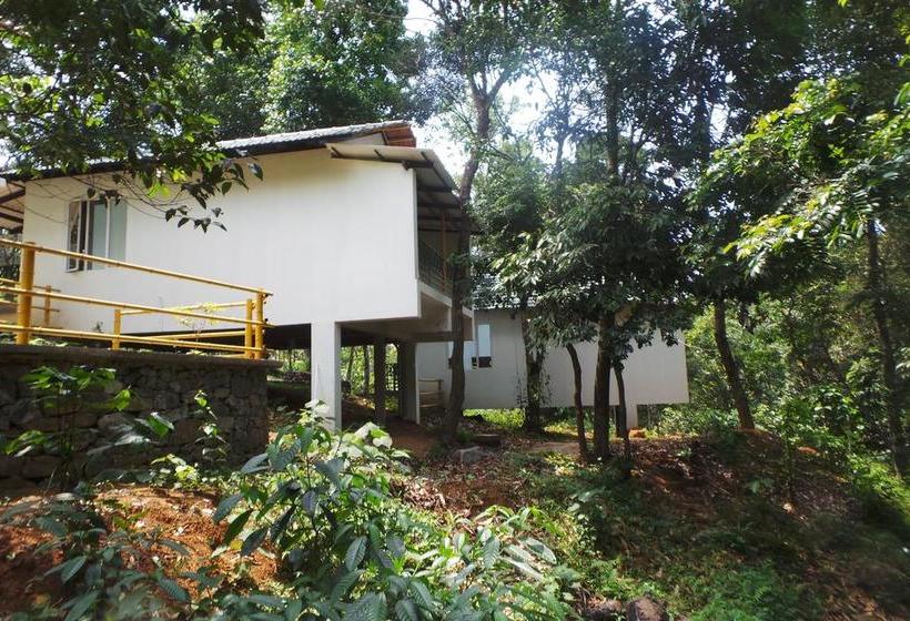 Hotel Orange Wood Resort 16