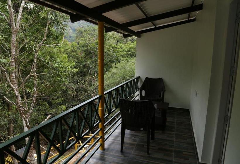 Hotel Orange Wood Resort 5