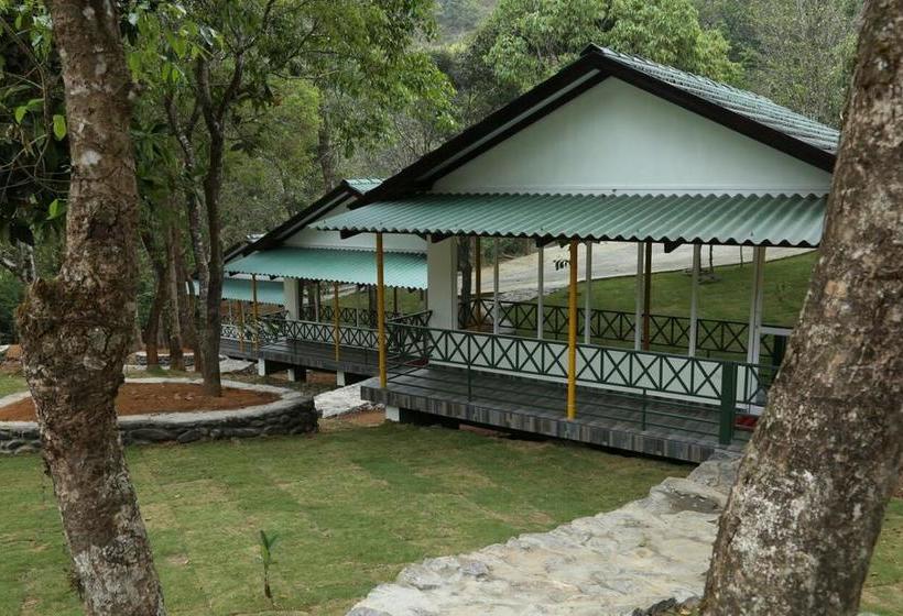 Hotel Orange Wood Resort 8