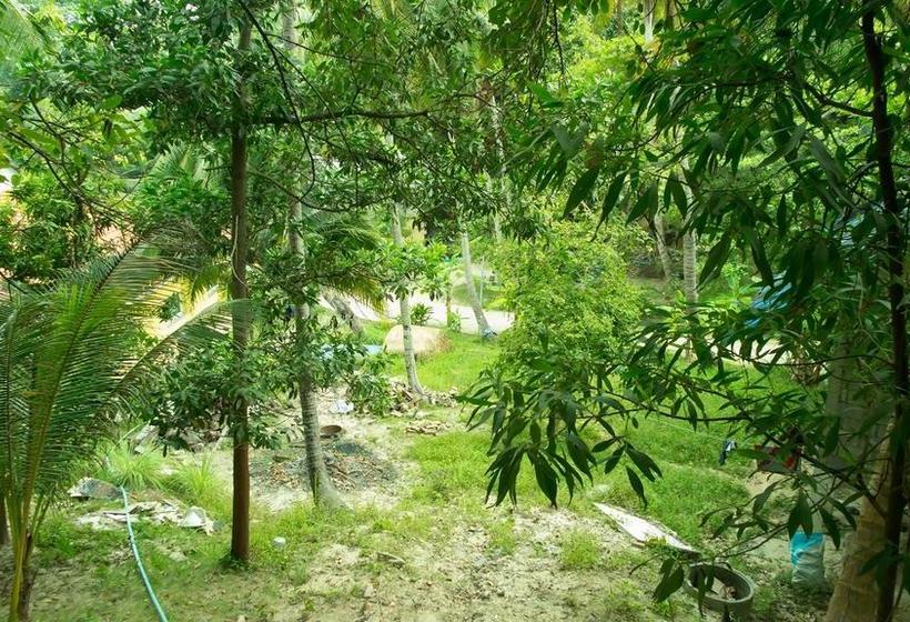 Resort New Pattaya Song 8