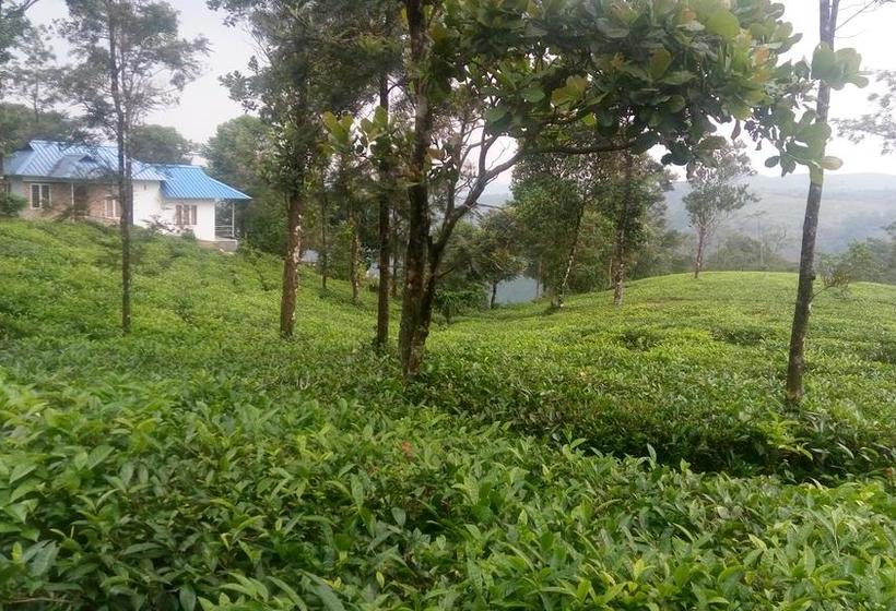 Resort Greenvalley Tea House Vagamon Vagamon Kerala