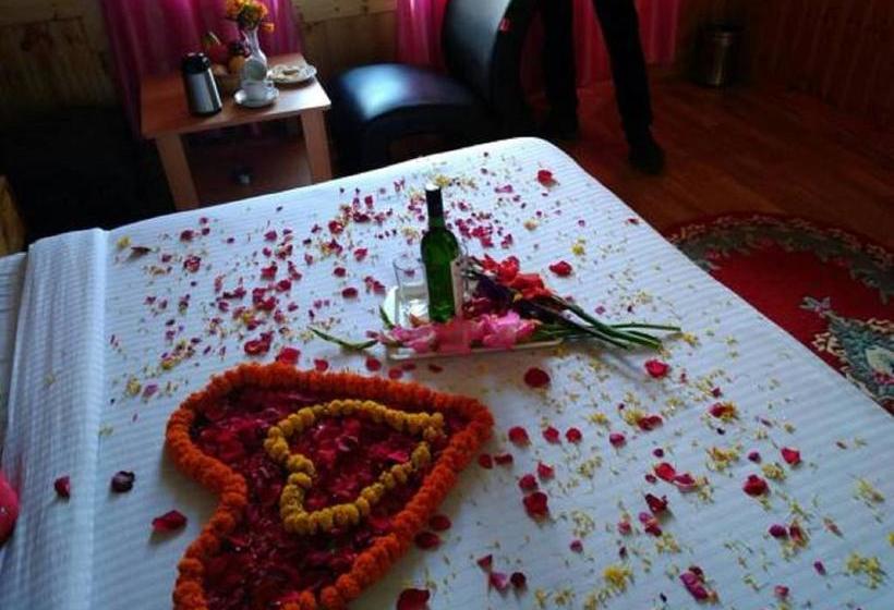 Hotel Satyam Paradise Cottage 6