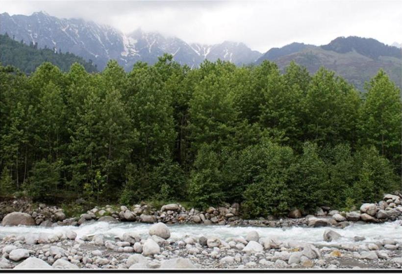 The Allure Grand Resort 14