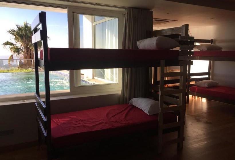 Hostel Awesome Backpackers 15