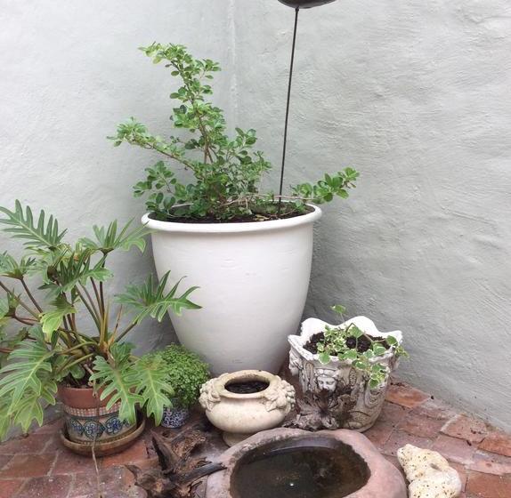 Bed and Breakfast Geranium Place 12