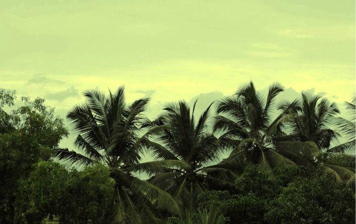 Hotel Kay S Riverview 12