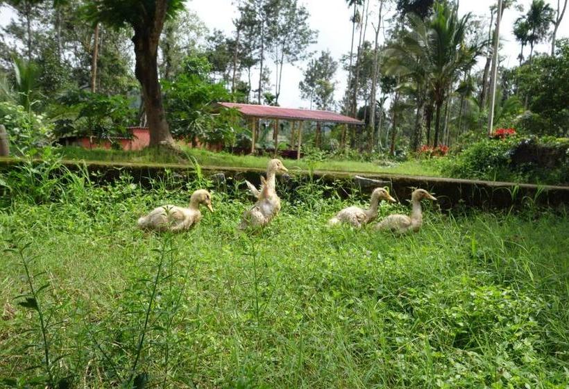 Bed and Breakfast O2 Estate Stay 5