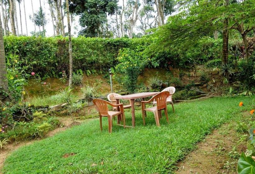 Bed and Breakfast O2 Estate Stay 7