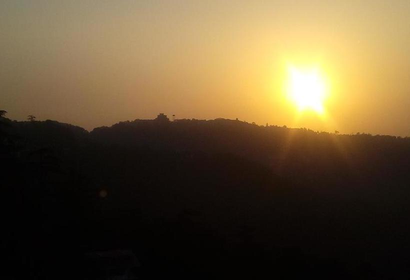 Bed and Breakfast Annadale View 20