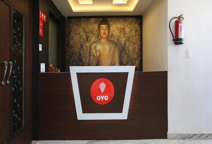 Hotel Krishna Palace 6