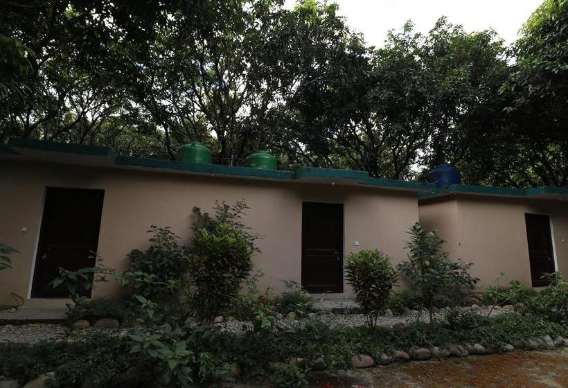 Resort Camp Big Cat Corbett 4