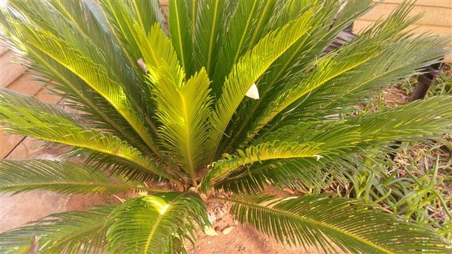 Bed and Breakfast Nkwasi Lodge 17