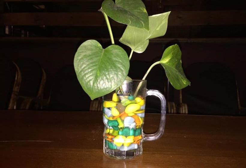 Anantra Sea View Resort 12