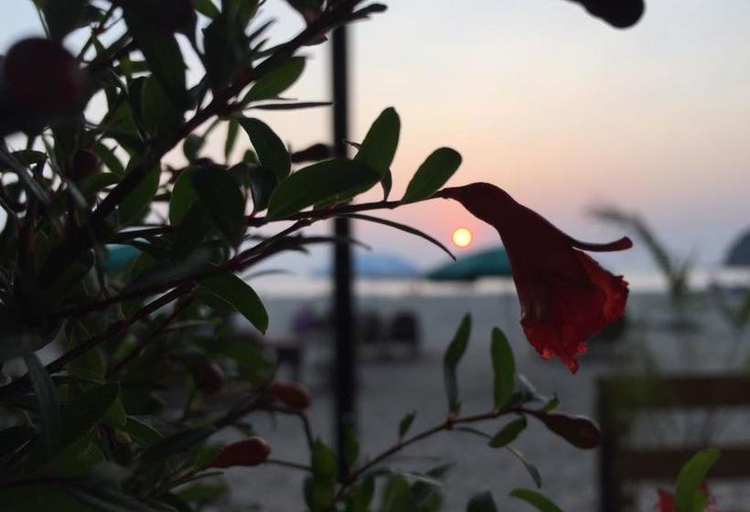 Anantra Sea View Resort 13