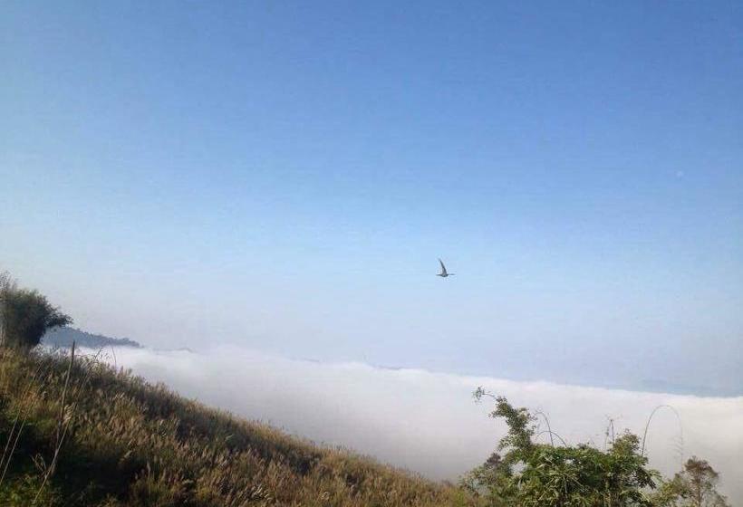 Thanorm Rak Resort 10