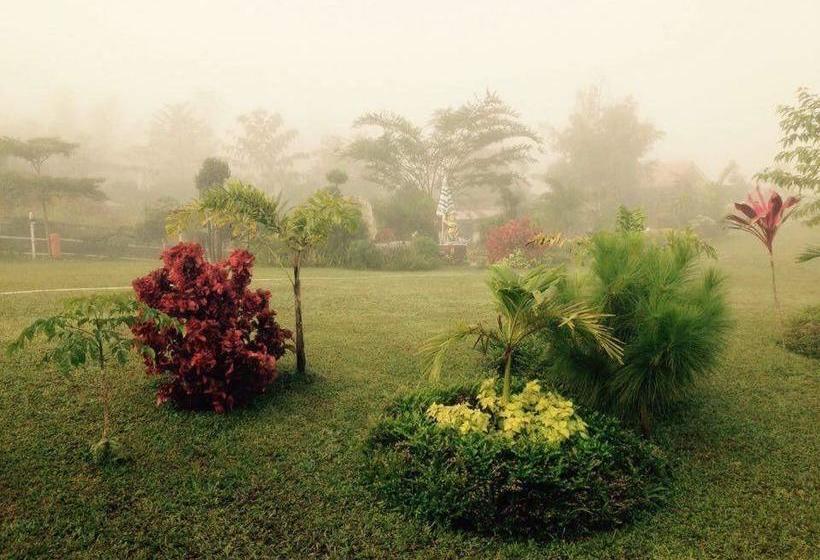 Thanorm Rak Resort 15