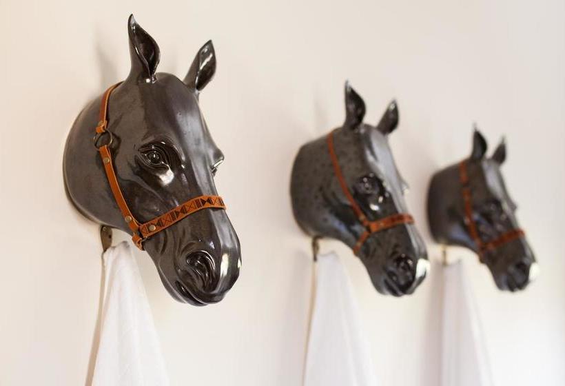 Bed and Breakfast La Bella Vita Studios 13