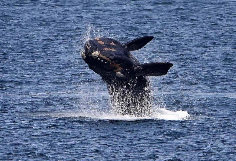 Bed and Breakfast Sunny Cove Manor 14