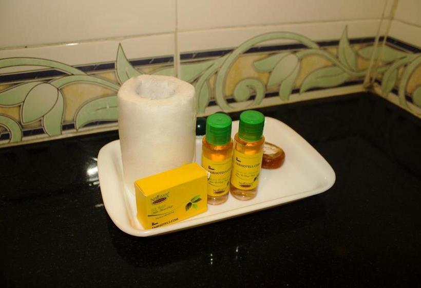 Fabhotel Saptaruchi Midc 9