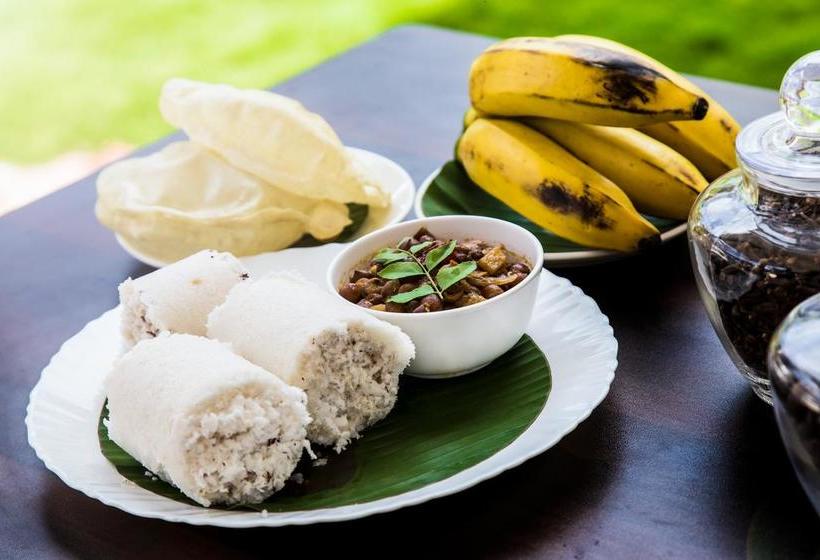 Resort Three Roots Stay 1