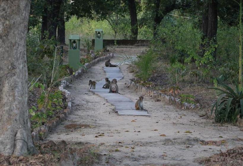 Hotel Bagh Sarai Resorts Bandhavgarh 6