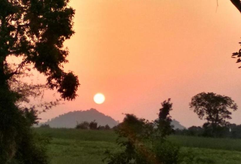 Mystical Yoga Centre And Hostel 11