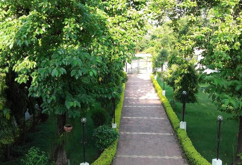 Mystical Yoga Centre And Hostel 14