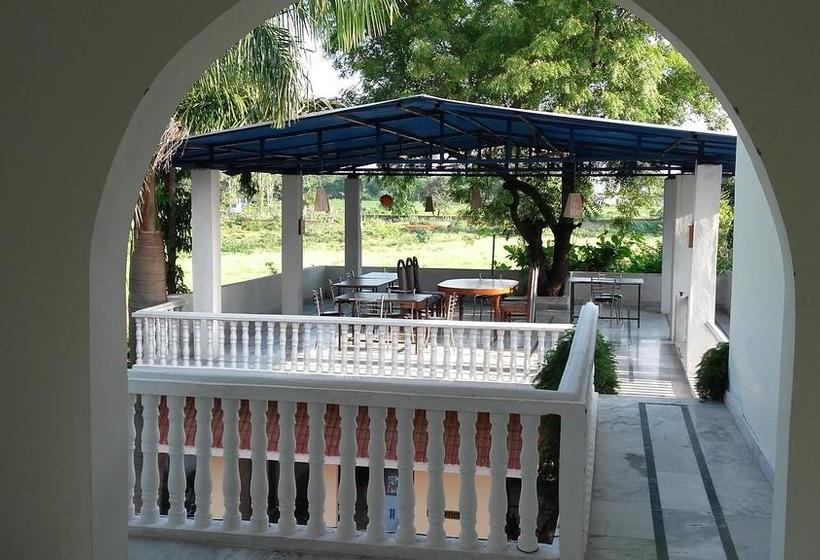 Mystical Yoga Centre And Hostel 15